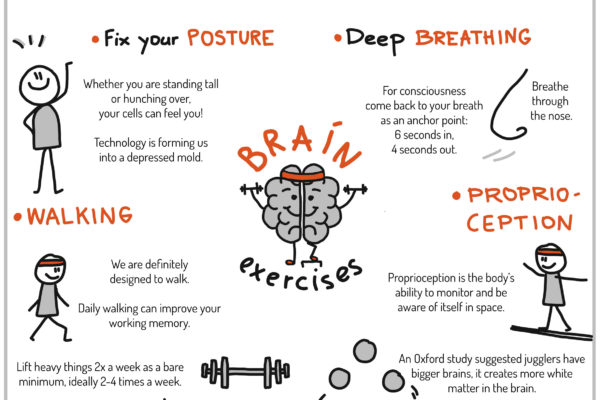 Brain exercises